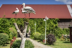 wakacje-slajszewo-05