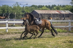 wakacje-slajszewo-08